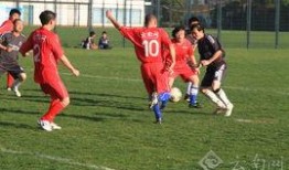 云南足球教练爆料新闻,揭秘足球圈幕后真相